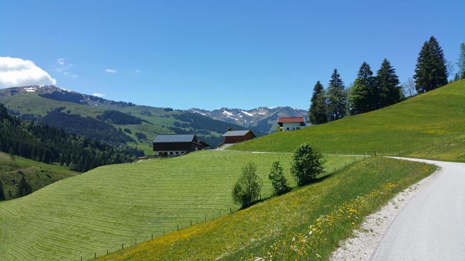 Haus Am Sonnberg Vila Maria Alm am Steinernen Meer Exterior foto